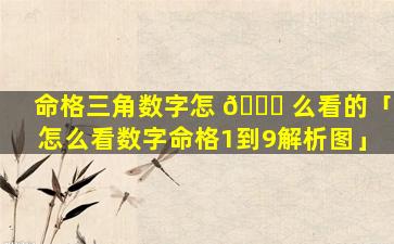 命格三角数字怎 🍁 么看的「怎么看数字命格1到9解析图」